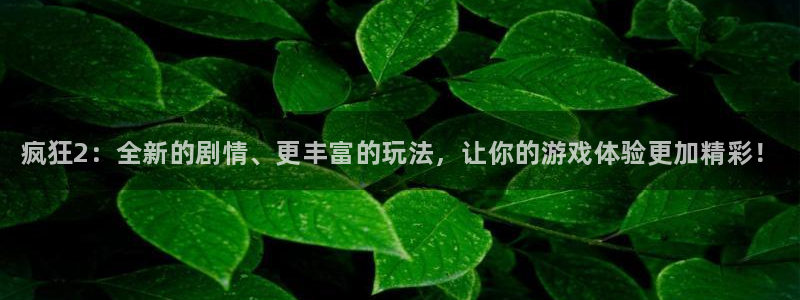 多彩娱乐2首页登录：疯狂2：全新的剧情、更丰富的玩法，让你的