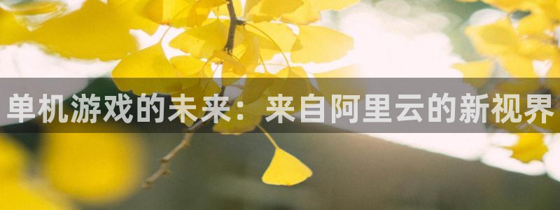 多彩娱乐登陆地址：单机游戏的未来：来自阿里云的新视界
