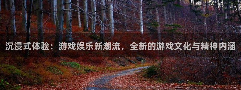 多彩娱乐网页登录入口官网：沉浸式体验：游戏娱乐新潮流，全新的