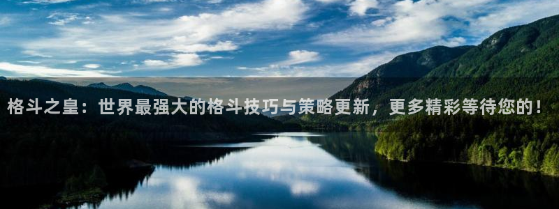 多彩娱乐平台登陆：格斗之皇：世界最强大的格斗技巧与策略更新，