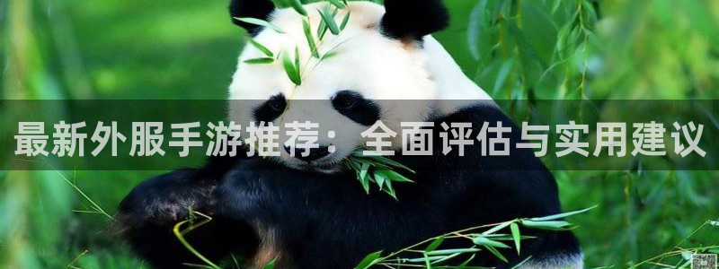 多彩娱乐平台登录入口：最新外服手游推荐：全面评估与实用建议