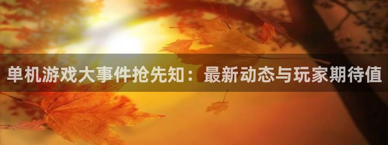 多彩娱乐注册登录：单机游戏大事件抢先知：最新动态与玩家期待值