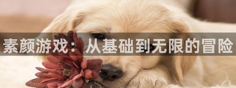 多彩娱乐的意思：素颜游戏：从基础到无限的冒险