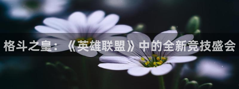 多彩娱乐测速：格斗之皇：《英雄联盟》中的全新竞技盛会