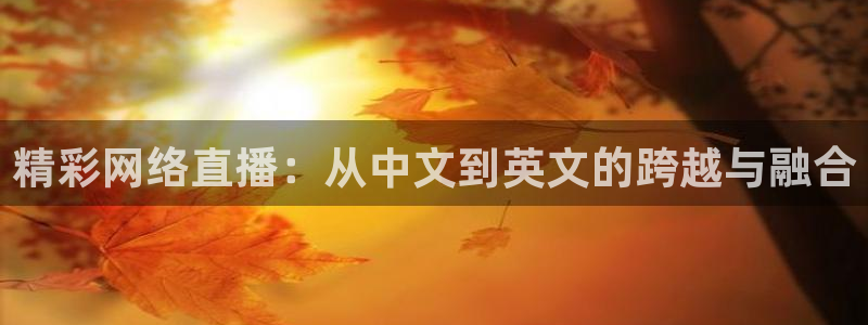 51视频在线直播nba：精彩网络直播：从中文到英文的跨越与融合