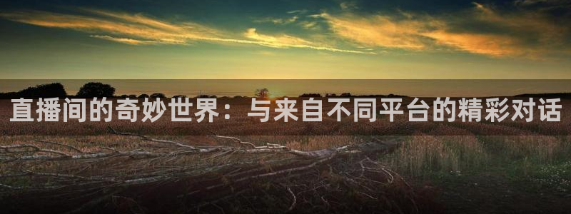 51视频在线直播nba：直播间的奇妙世界：与来自不同平台的精彩对话