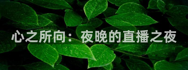 51视频在线直播nba：心之所向：夜晚的直播之夜