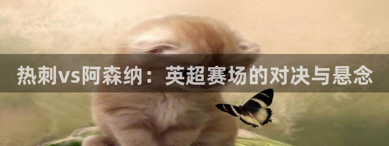51视频在线直播nba：热刺vs阿森纳：英超赛场的对决与悬念