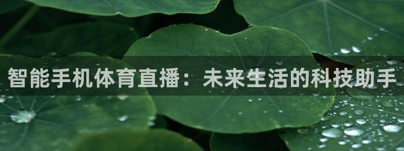 51视频在线直播nba：智能手机体育直播：未来生活的科技助手