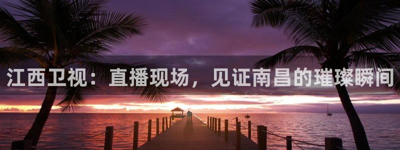51视频在线直播nba：江西卫视：直播现场，见证南昌的璀璨瞬间