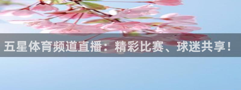51视频在线直播nba：五星体育频道直播：精彩比赛、球迷共享！