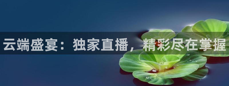 51视频在线直播nba：云端盛宴：独家直播，精彩尽在掌握
